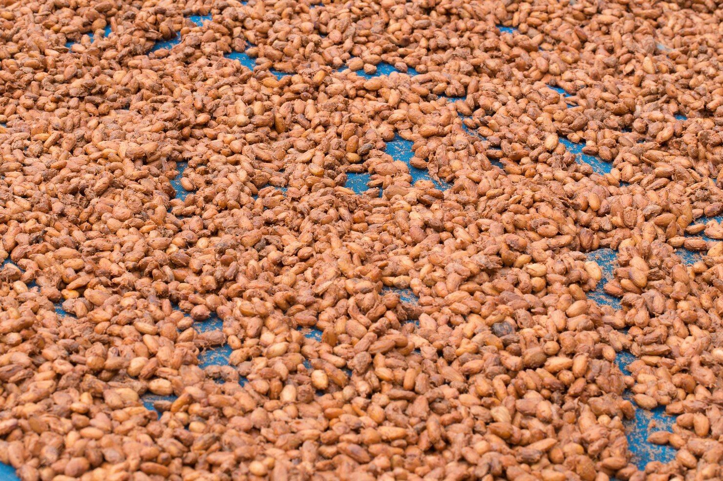 Fish Feed Extruders Overview for Aquaculture Production Efficiency