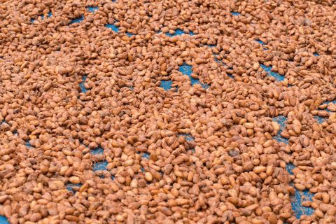 Fly Ash Brick Machines Guide for Modern Construction Knowledge