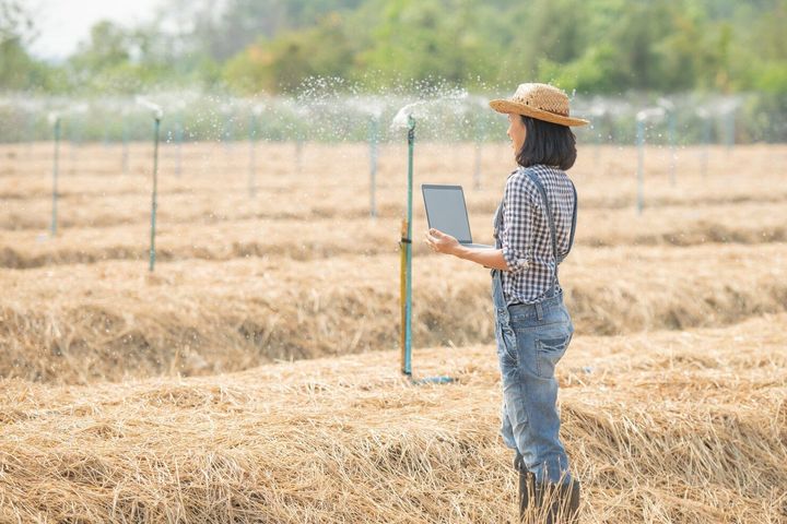 Smart Agricultural Irrigation Explore Water Efficiency and Farm Technology